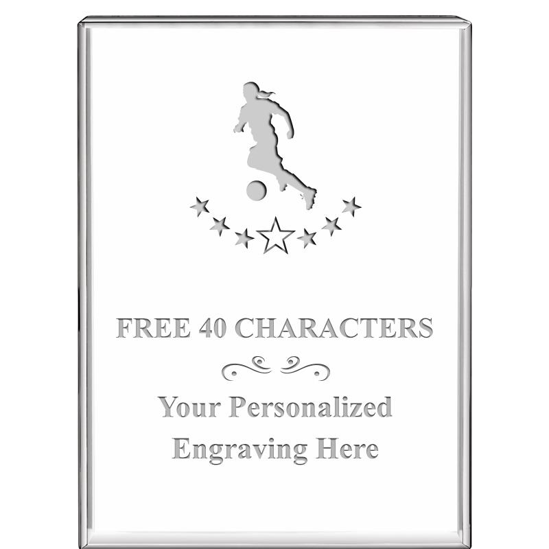 3"x4"VERTICAL DISPLAY CRYSTL