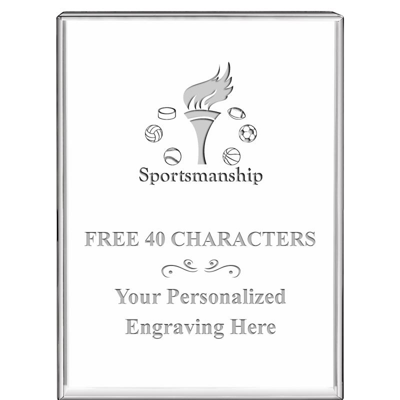 3"x4"VERTICAL DISPLAY CRYSTL