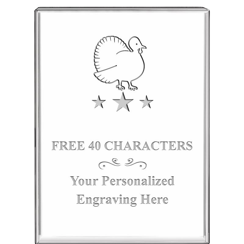 3"x4"VERTICAL DISPLAY CRYSTL