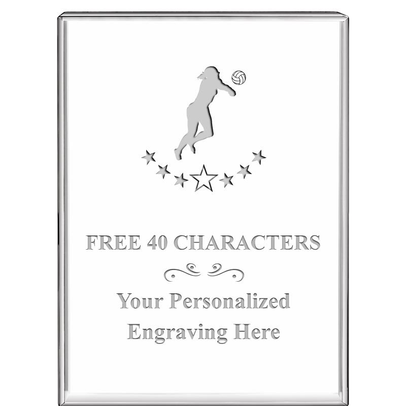 3"x4"VERTICAL DISPLAY CRYSTL