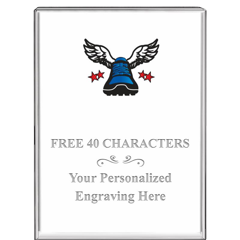 3"x4"VERTICAL DISPLAY CRYSTL