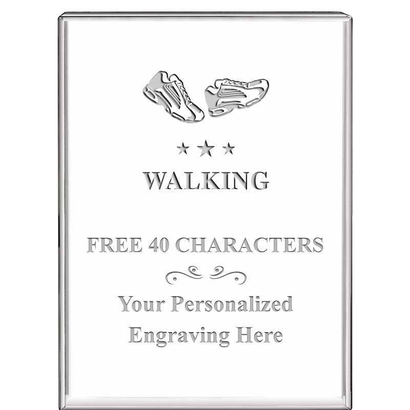 3"x4"VERTICAL DISPLAY CRYSTL