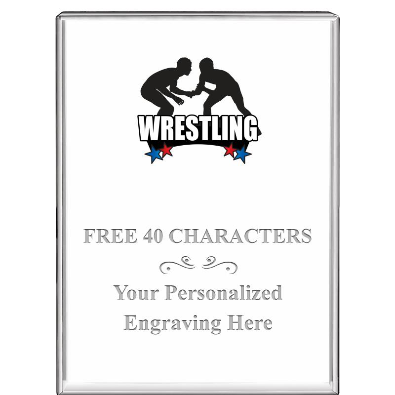 3"x4"VERTICAL DISPLAY CRYSTL