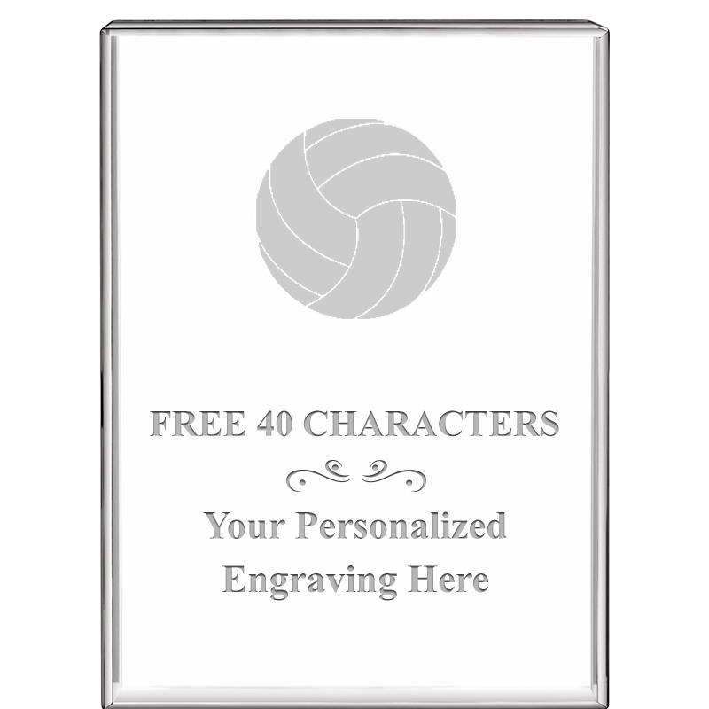 3"x4"VERTICAL DISPLAY CRYSTL