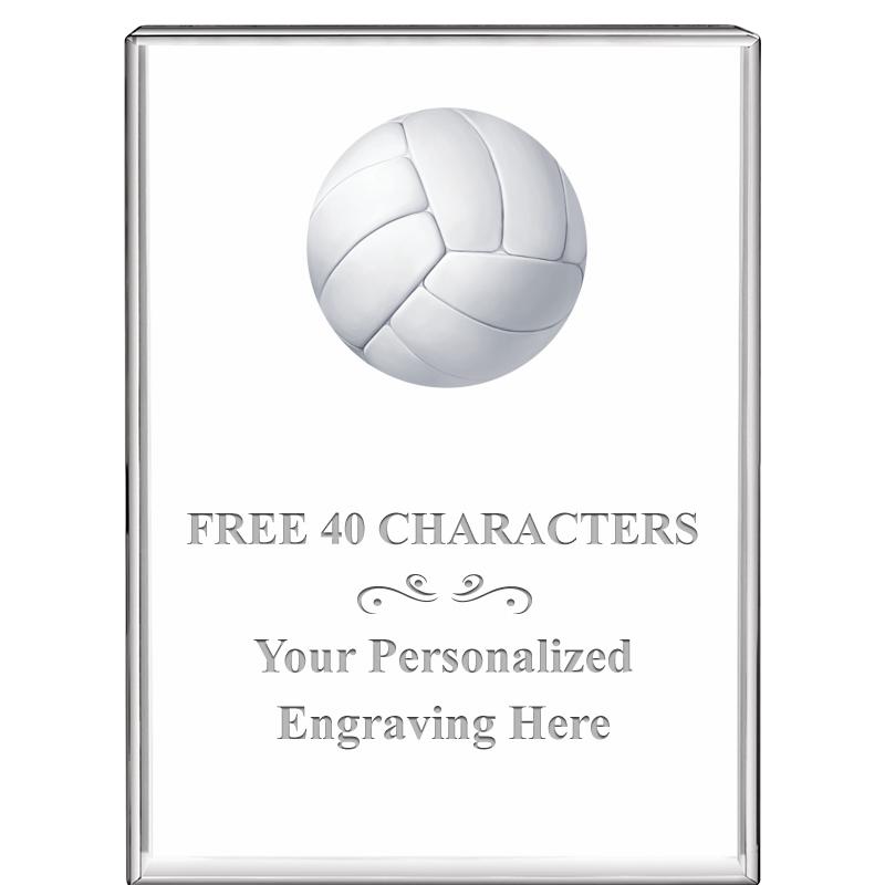 3"x4"VERTICAL DISPLAY CRYSTL