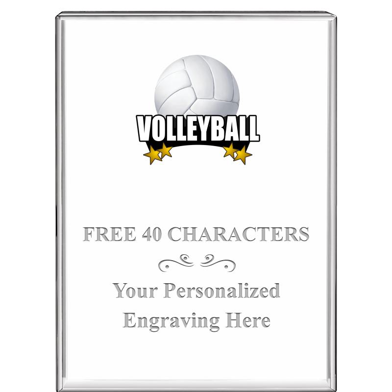 3"x4"VERTICAL DISPLAY CRYSTL