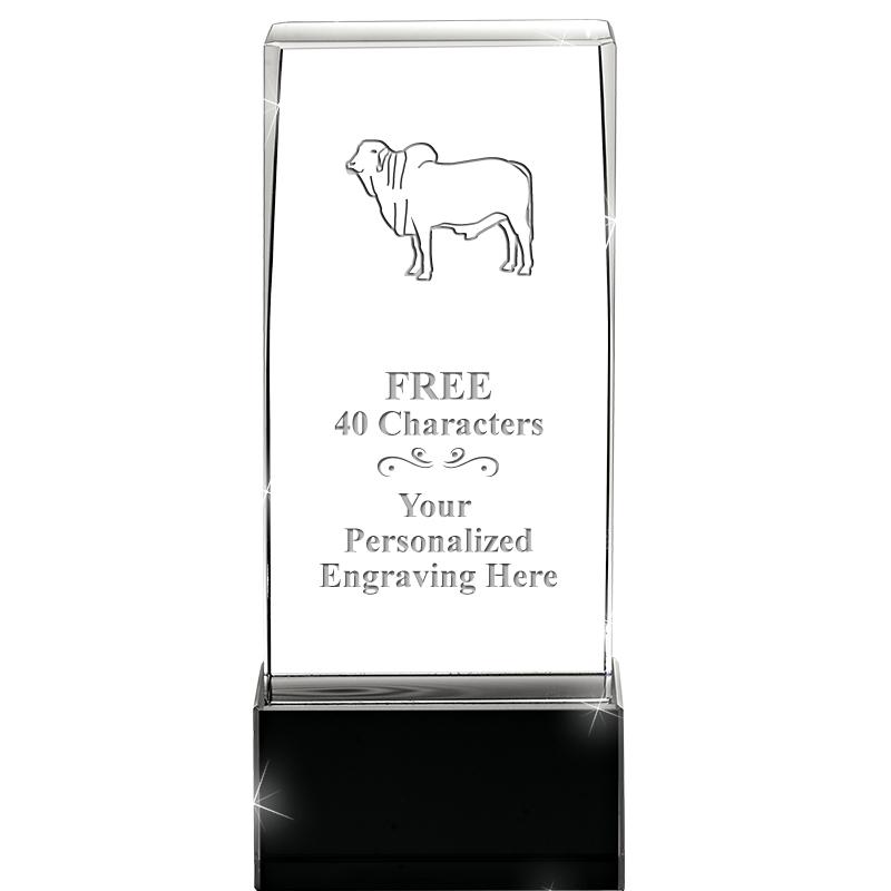 5 3/4" ONYX LUX CRYSTALS