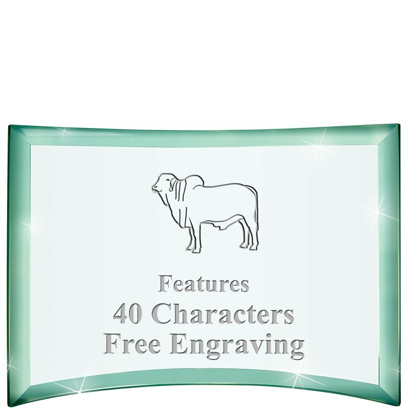 5 1/2"x 3 3/4" ARCHWAY CRYSTAL