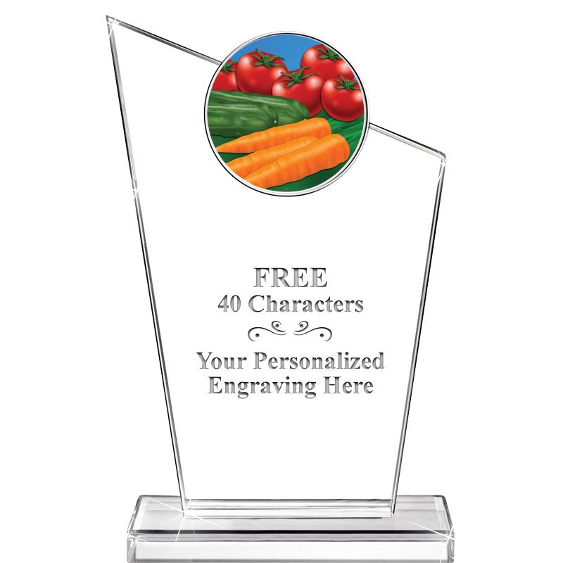 7" ELEVATION CRYSTAL W-INSERT