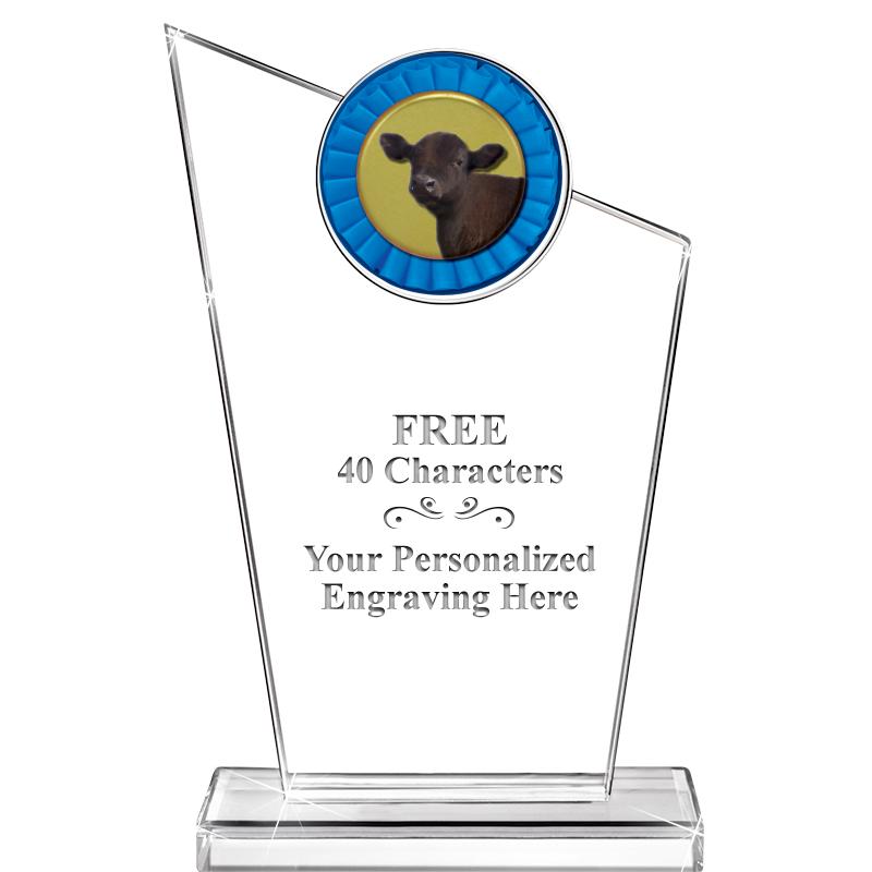 7" ELEVATION CRYSTAL W-INSERT