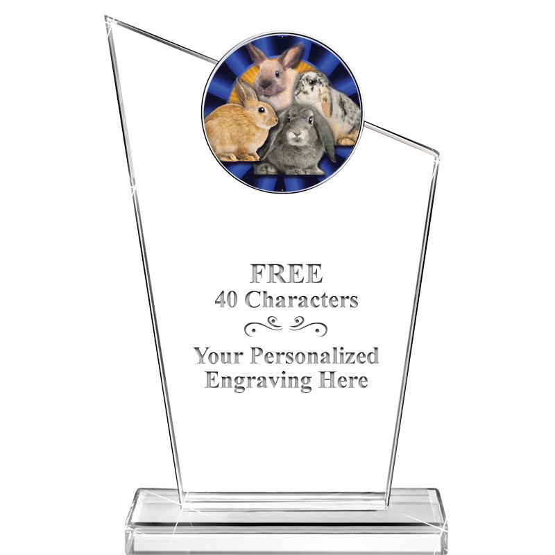 7" ELEVATION CRYSTAL W-INSERT