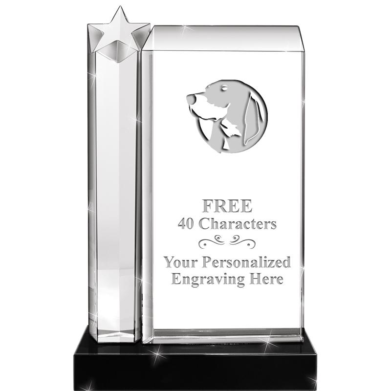 9.5"ENVISION STAR CRYSTAL