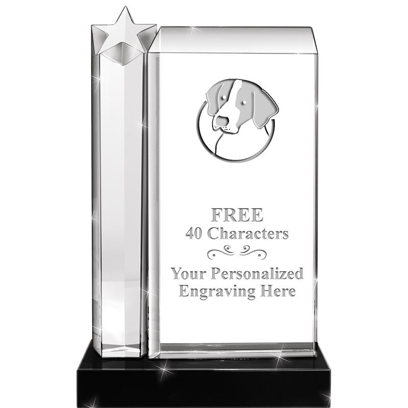 9.5"ENVISION STAR CRYSTAL