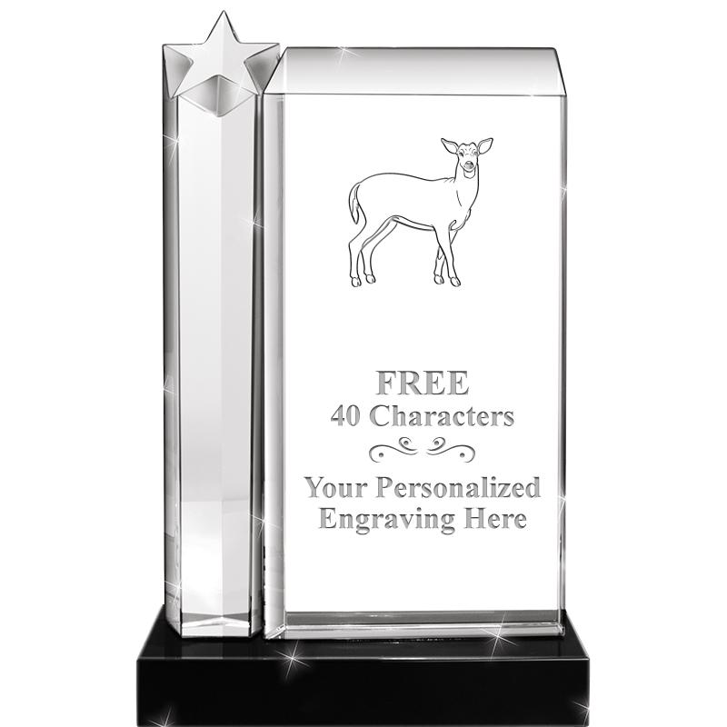 9.5"ENVISION STAR CRYSTAL