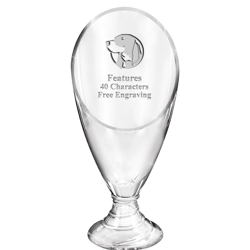 9.75" GRAND GLASS AWARD