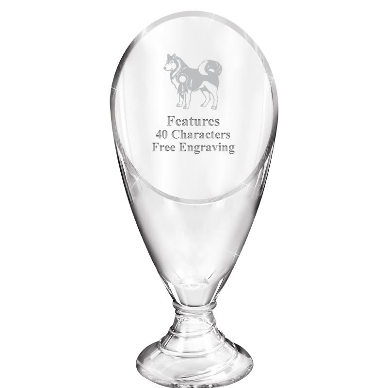 9.75" GRAND GLASS AWARD
