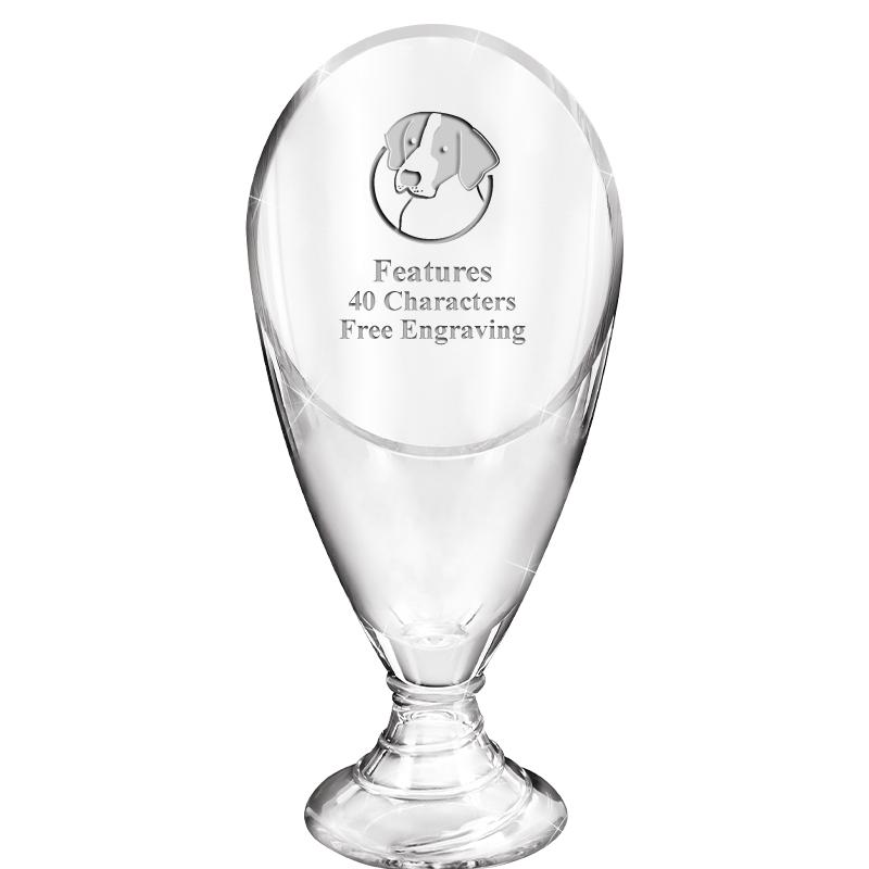 9.75" GRAND GLASS AWARD