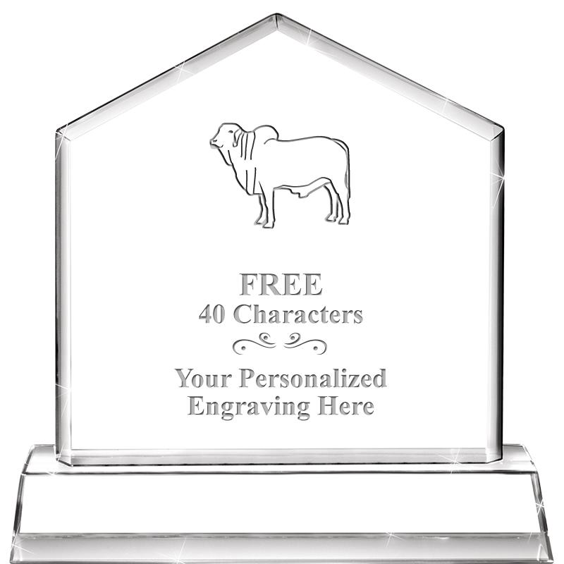 6" CRYSTAL HOMEPLATE AWARD