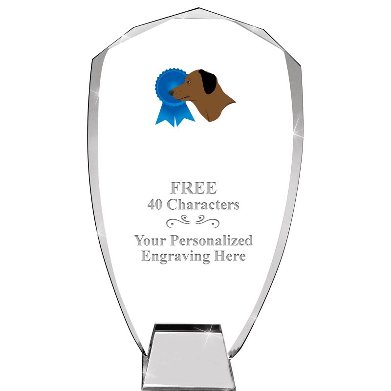 8.5" SHIELD ICONIC CRYSTAL