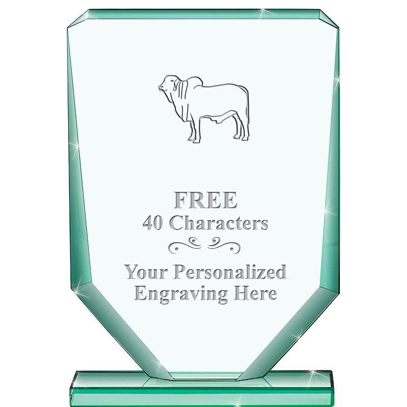 6" JADE RECTANGLE CRYSTAL AWAR