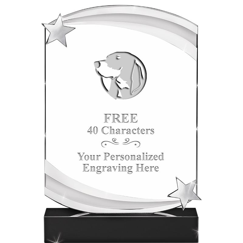 7" NEBULA STAR CRYSTAL AWARD