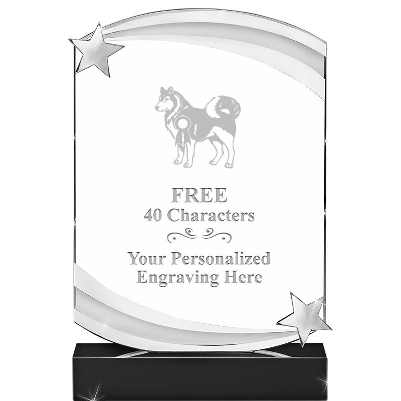 7" NEBULA STAR CRYSTAL AWARD