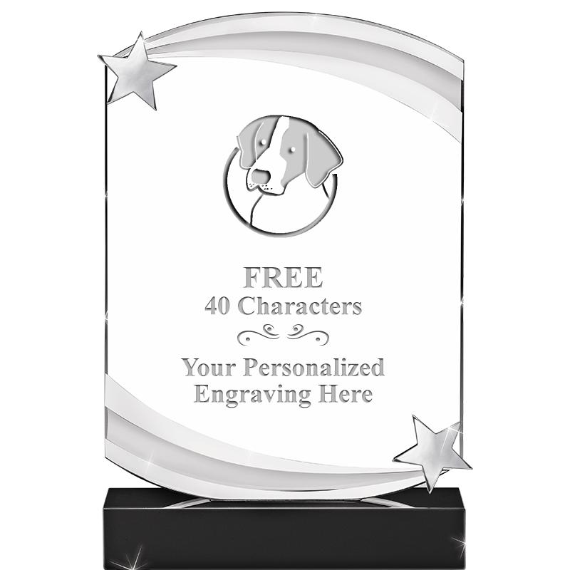 7" NEBULA STAR CRYSTAL AWARD