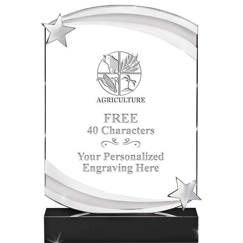 7" NEBULA STAR CRYSTAL AWARD