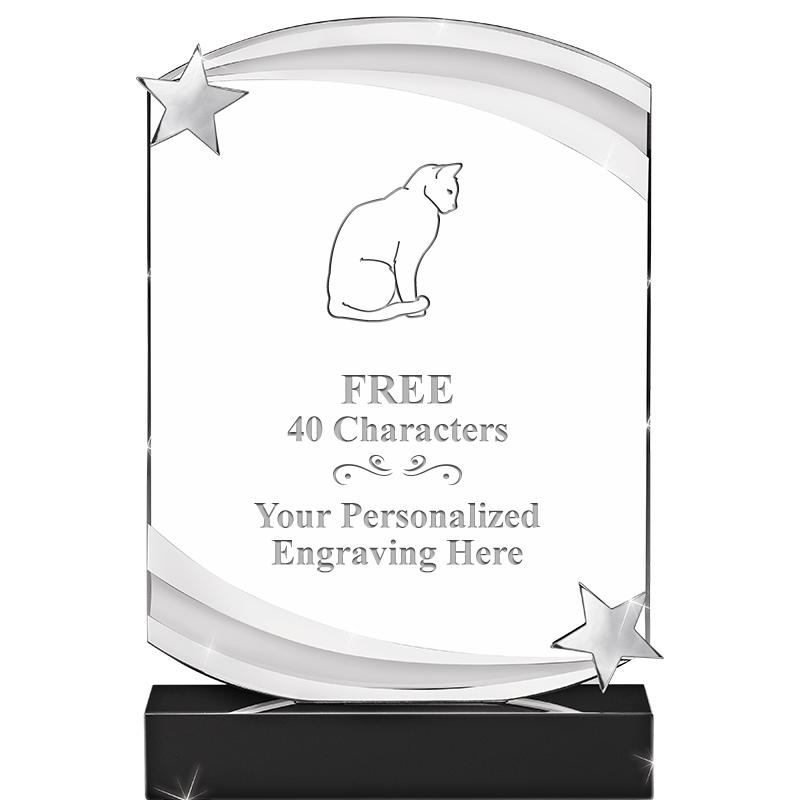 7" NEBULA STAR CRYSTAL AWARD