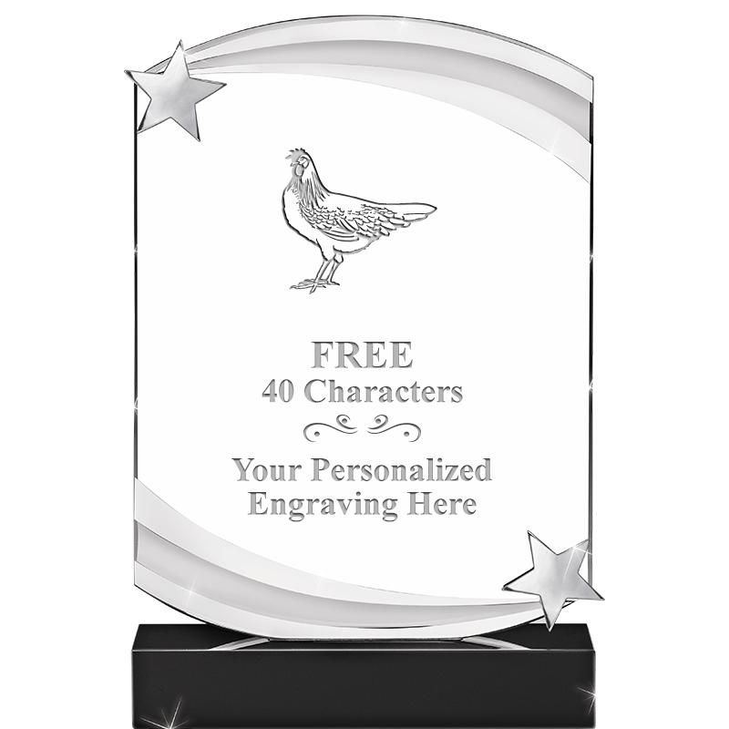 7" NEBULA STAR CRYSTAL AWARD