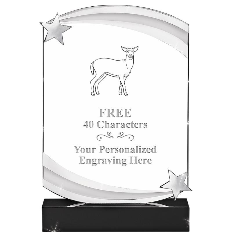 7" NEBULA STAR CRYSTAL AWARD