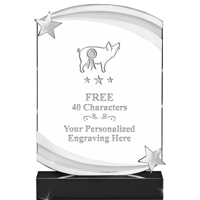 7" NEBULA STAR CRYSTAL AWARD