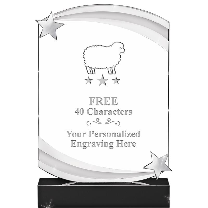 7" NEBULA STAR CRYSTAL AWARD