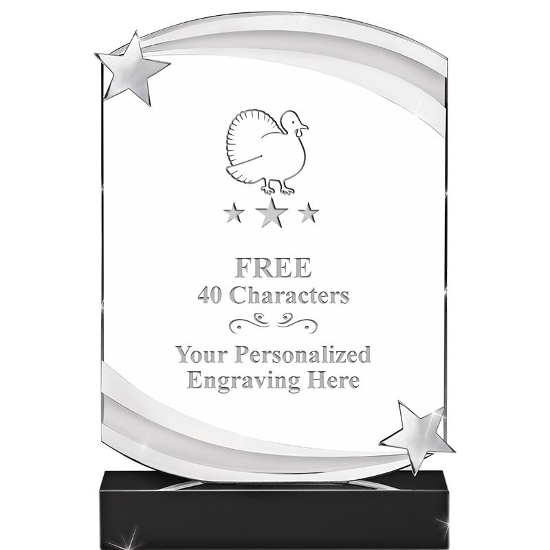 7" NEBULA STAR CRYSTAL AWARD