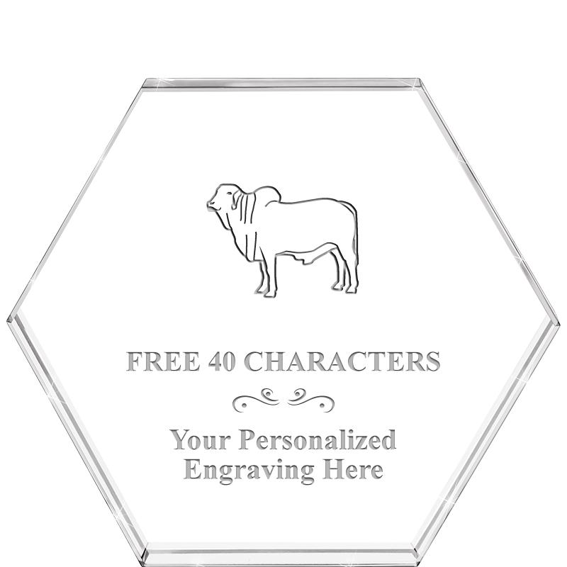 4"HEXAGON CRYSTAL PAPERWEIGHT