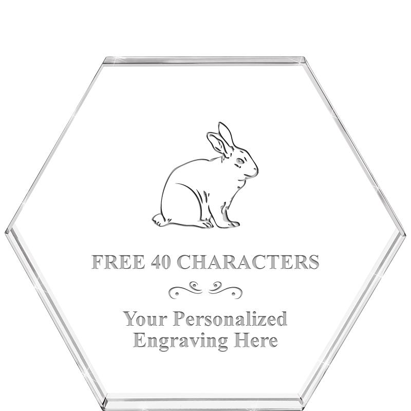 4"HEXAGON CRYSTAL PAPERWEIGHT