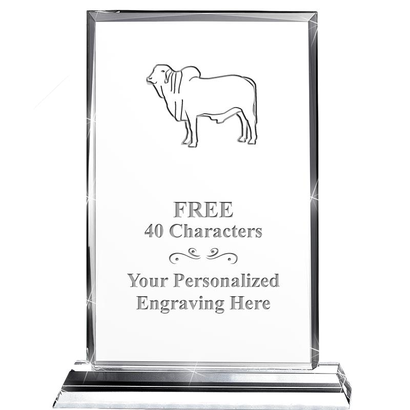 5"wx6.5"h DILIGENCE CRYSTAL