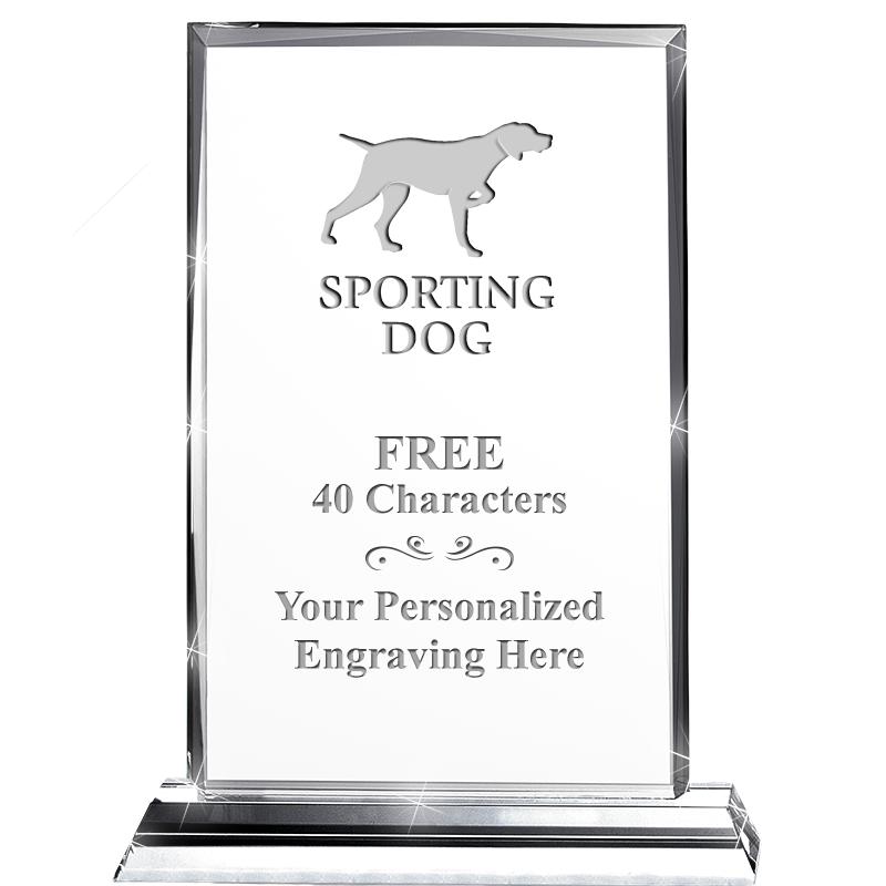 5"wx6.5"h DILIGENCE CRYSTAL