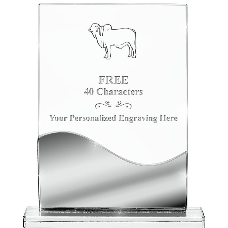 5.75" REFLECTIONS CRYSTAL