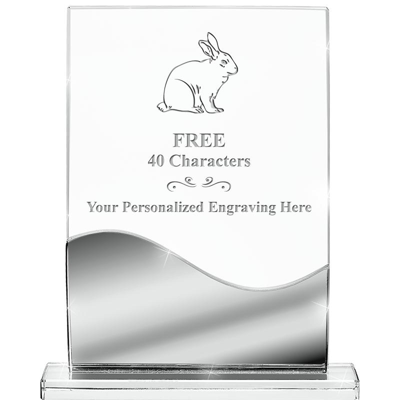 5.75" REFLECTIONS CRYSTAL