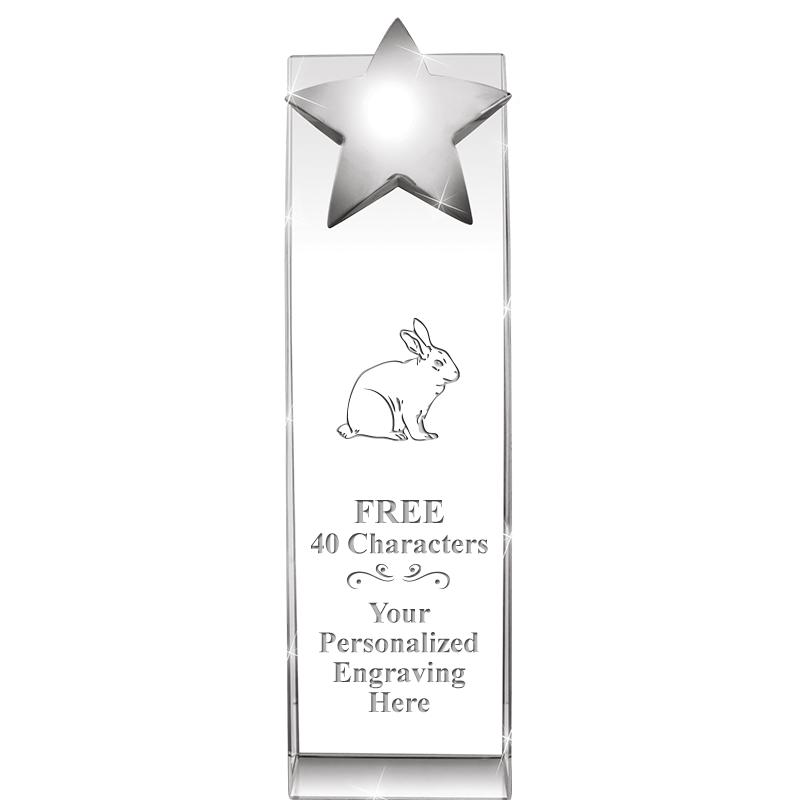 9.5"RECOGNITION CRYSTAL TOWER