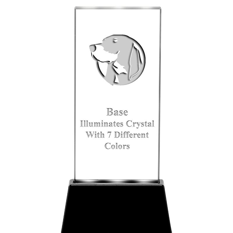 6.75" RADIANZ LITE-UP CRYSTAL