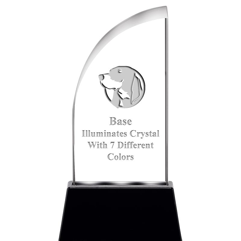 6.5"SAIL RADIANZ LITE-UP CRYST