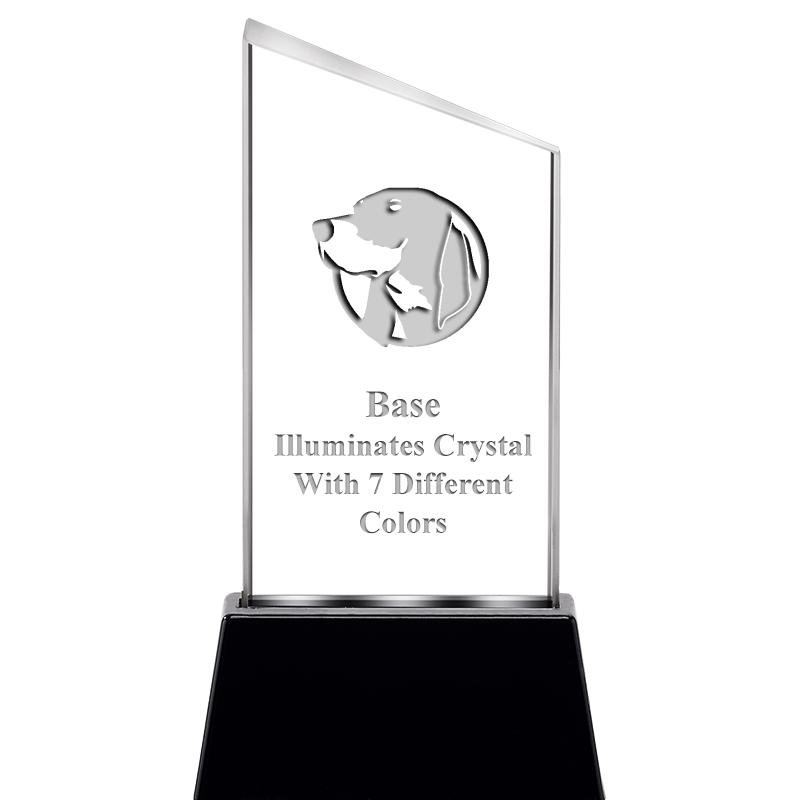 6.4"SLANT RADIANZ LITE-UP CRYS