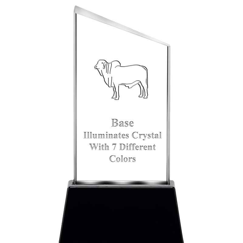 6.4"SLANT RADIANZ LITE-UP CRYS