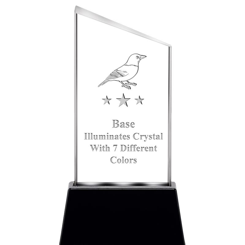 6.4"SLANT RADIANZ LITE-UP CRYS