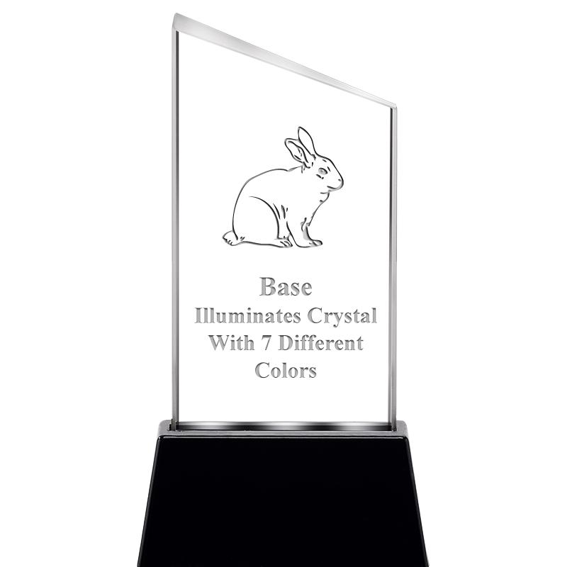 6.4"SLANT RADIANZ LITE-UP CRYS