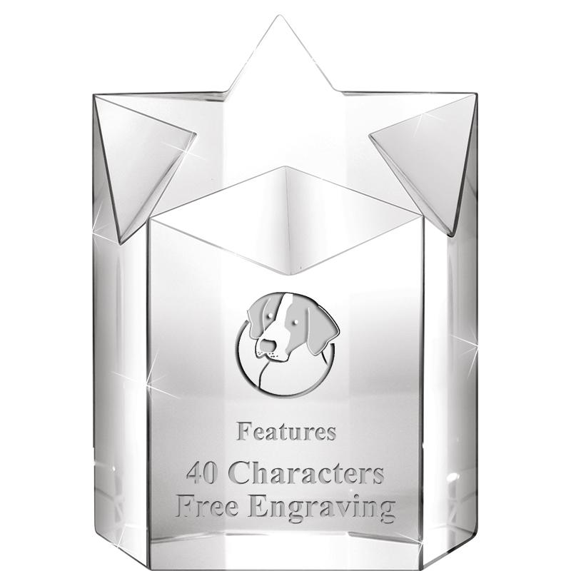 5" SUPER NOVA CRYSTAL AWARD