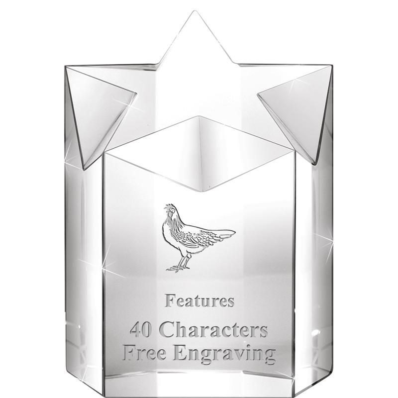 5" SUPER NOVA CRYSTAL AWARD