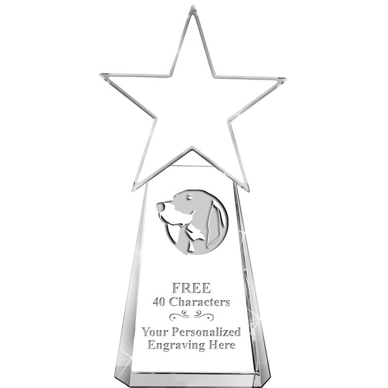 6" CLEAR CRYSTAL DYNOSTAR